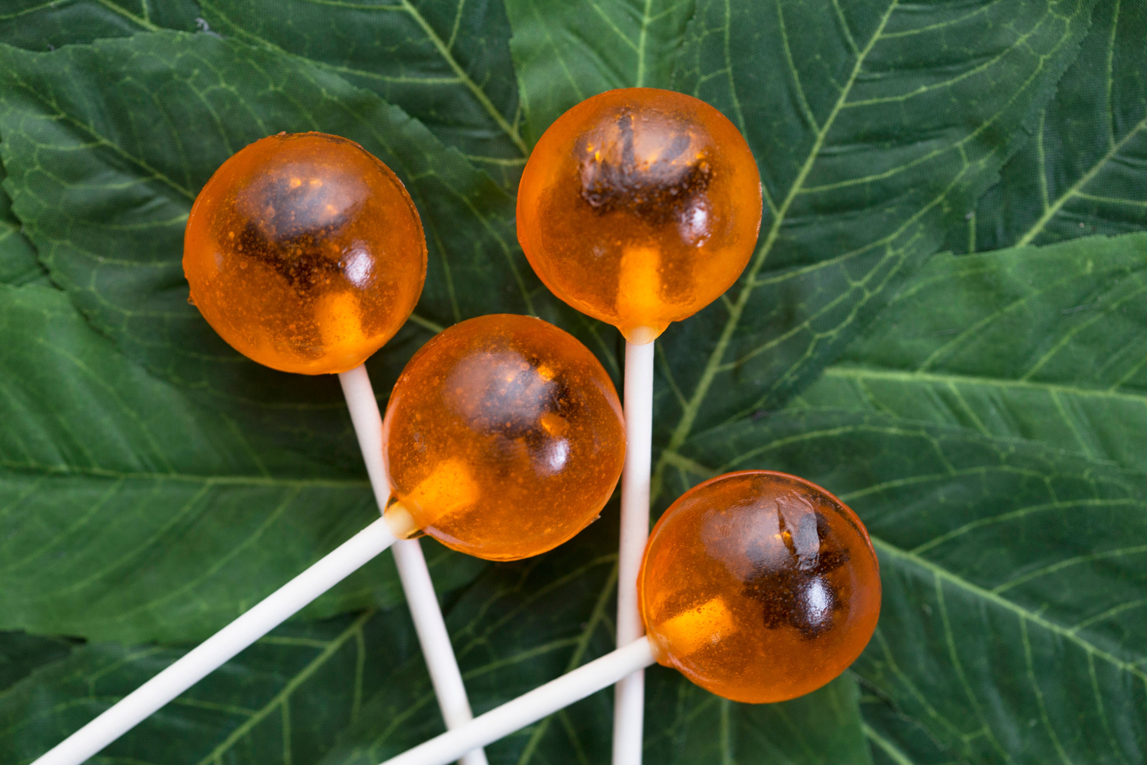 Jurassic Park Amber Fossil Lollipops – Rosanna Pansino
