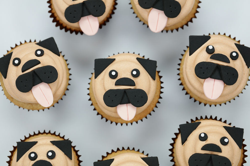 Rosanna Pansino and Doug the Pug make Pug Cupcakes!