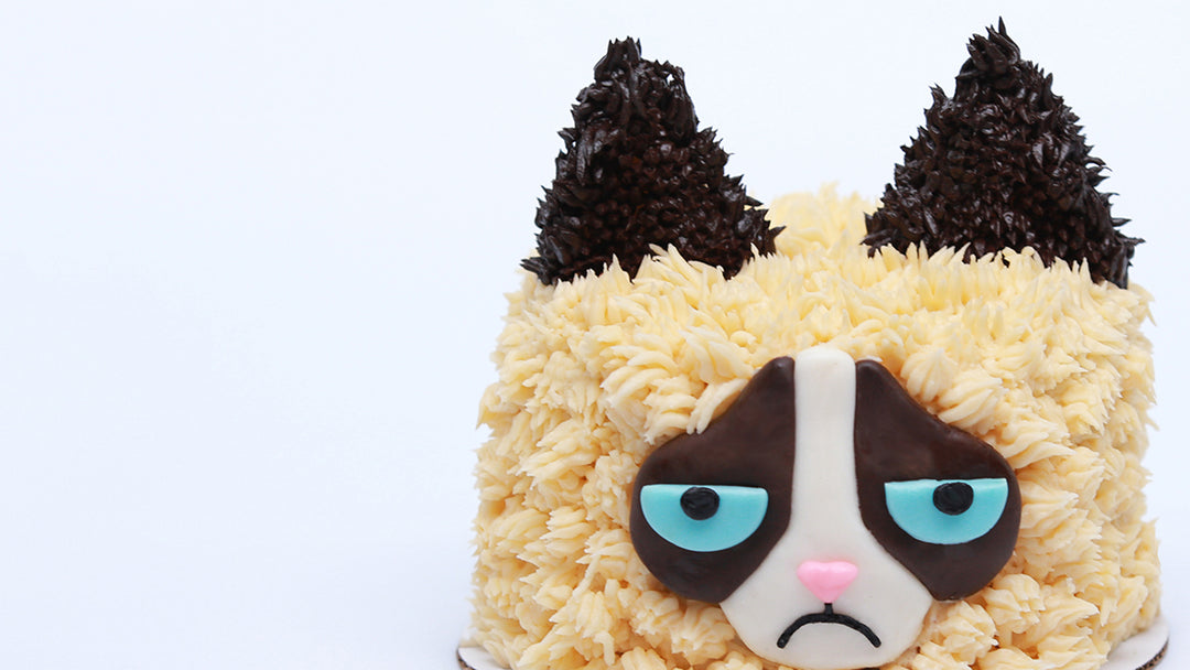 Grumpy Cat Baking Recipes – Page 21 – Rosanna Pansino