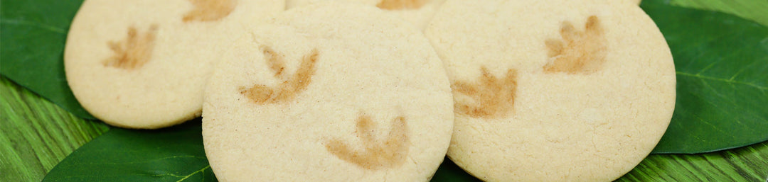 Dino Footprint Fossil Cookies